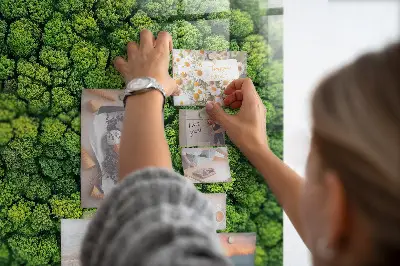 Magnetic glass dry erase board featuring a forest aerial view