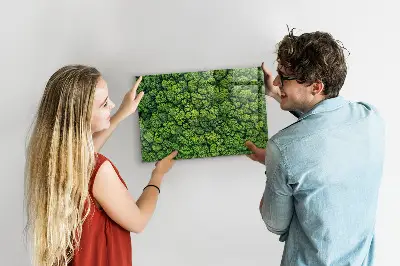 Magnetic glass dry erase board featuring a forest aerial view