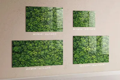 Magnetic glass dry erase board featuring a forest aerial view