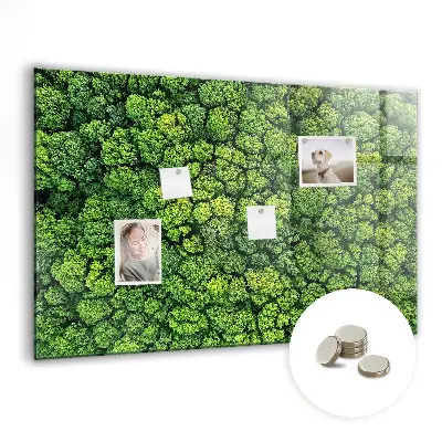 Magnetic glass dry erase board featuring a forest aerial view