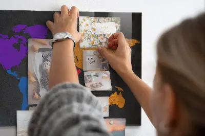 Magnetic wall board World map