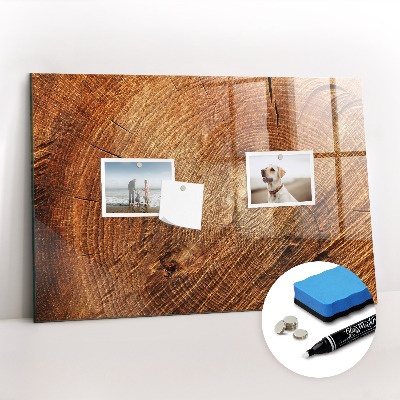 Magnetic marker board Old tree stump