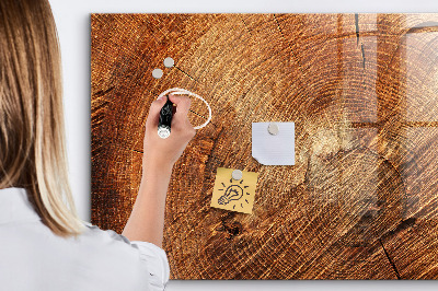 Magnetic marker board Old tree stump