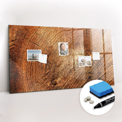 Magnetic marker board Old tree stump