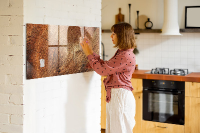 Magnetic marker board Old tree stump