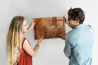Magnetic marker board Old tree stump