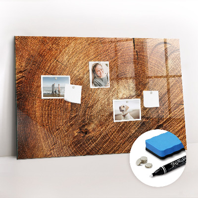 Magnetic marker board Old tree stump