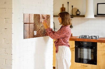 Magnetic marker board Old tree stump
