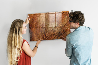 Magnetic marker board Old tree stump
