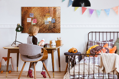 Magnetic marker board Old tree stump