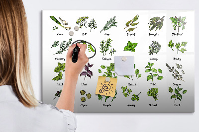 Magnetic drawing board Types of trees