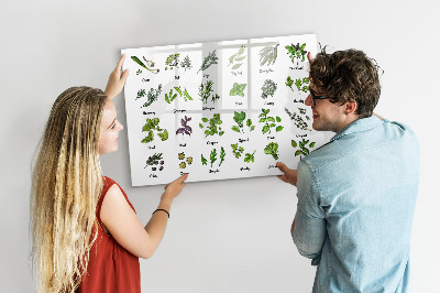 Magnetic drawing board Types of trees