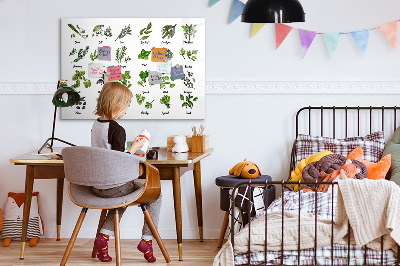 Magnetic drawing board Types of trees