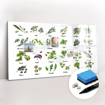 Magnetic drawing board Types of trees