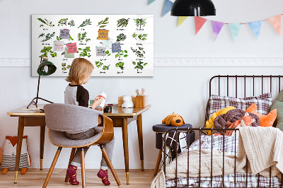 Magnetic drawing board Types of trees