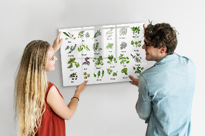 Magnetic drawing board Types of trees