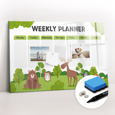 Magnetic dry erase board Lesson plan