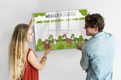 Magnetic dry erase board Lesson plan