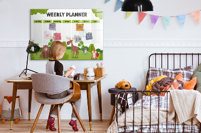 Magnetic dry erase board Lesson plan