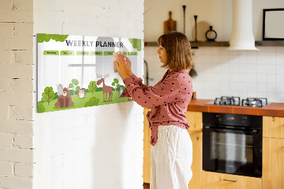 Magnetic dry erase board Lesson plan
