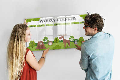 Magnetic dry erase board Lesson plan
