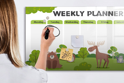 Magnetic drawing board Lesson plan