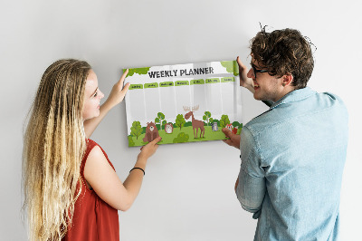 Magnetic dry erase board Lesson plan