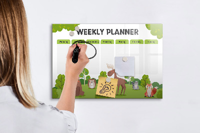 Magnetic dry erase board Lesson plan