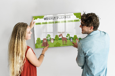 Magnetic dry erase board Lesson plan