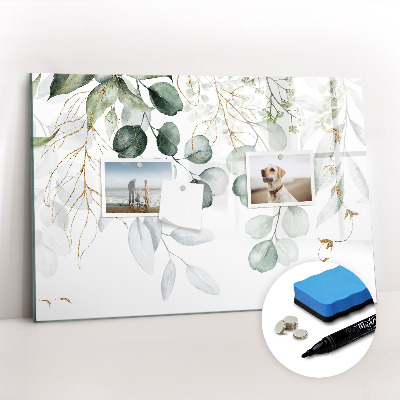 Magnetic dry erase board Hanging plants