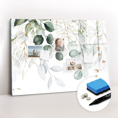 Magnetic dry erase board Hanging plants