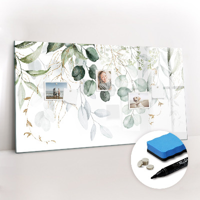 Magnetic dry erase board Hanging plants