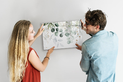 Magnetic dry erase board Hanging plants