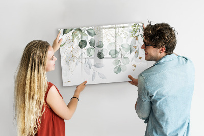 Magnetic dry erase board Hanging plants