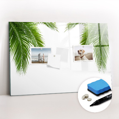 Dry erase magnetic board Palm tree leaves nature