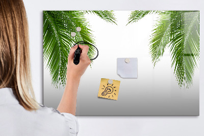 Dry erase magnetic board Palm tree leaves nature
