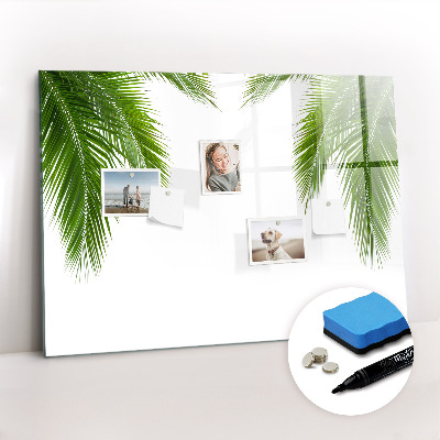 Dry erase magnetic board Palm tree leaves nature
