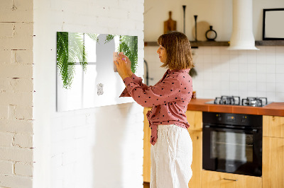 Dry erase magnetic board Palm tree leaves nature