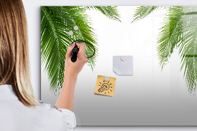 Dry erase magnetic board Palm tree leaves nature