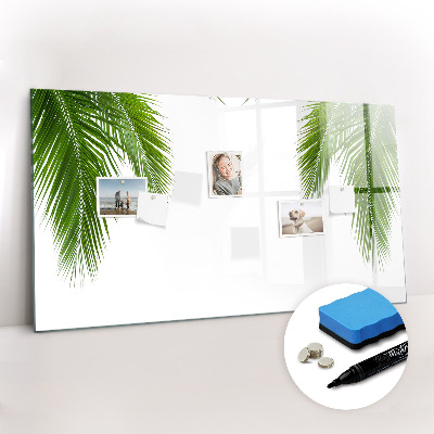 Dry erase magnetic board Palm tree leaves nature