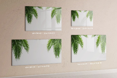Dry erase magnetic board Palm tree leaves nature