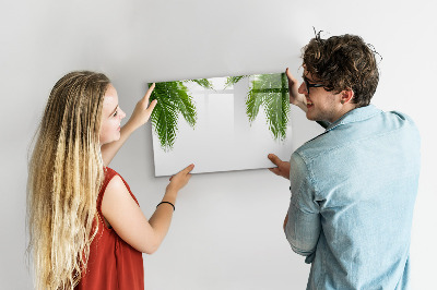 Magnetic board for drawing Palm tree leaves nature