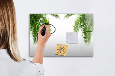 Dry erase magnetic board Palm tree leaves nature