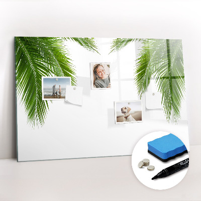 Dry erase magnetic board Palm tree leaves nature