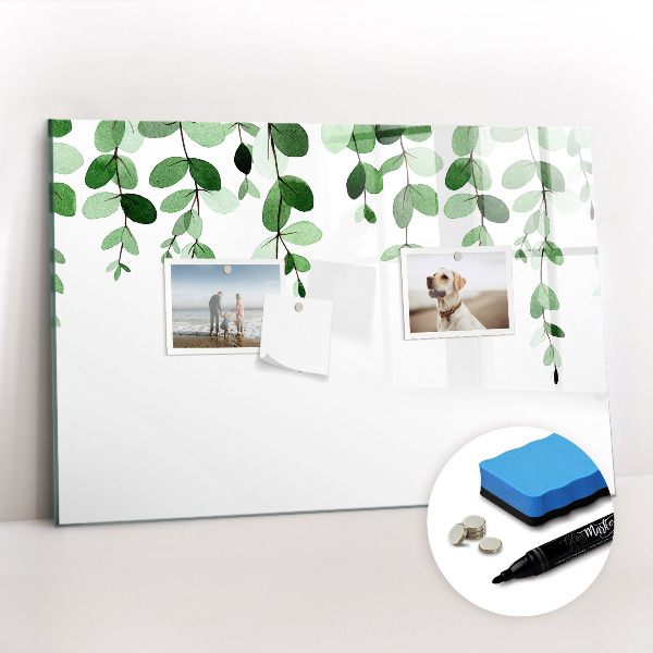 Magnetic dry erase board Plant leaves
