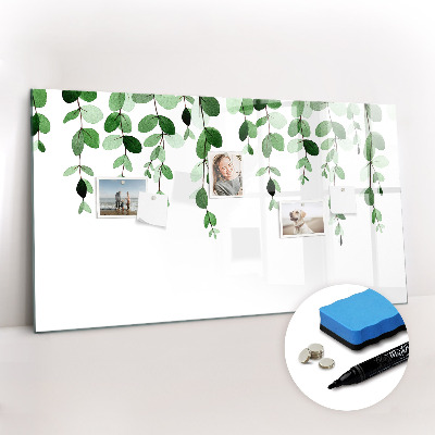 Magnetic dry erase board Plant leaves