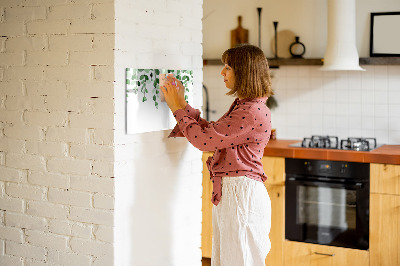 Magnetic dry erase board Plant leaves