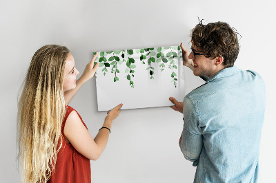 Magnetic dry erase board Plant leaves
