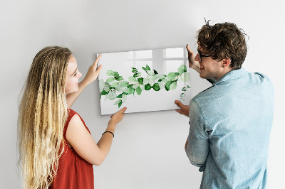 Dry erase magnetic board Plant branch