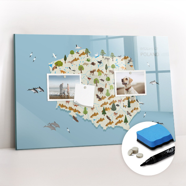 Magnetic dry erase board Polish animal map